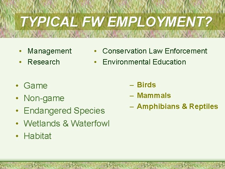 TYPICAL FW EMPLOYMENT? • Management • Research • • • Conservation Law Enforcement •