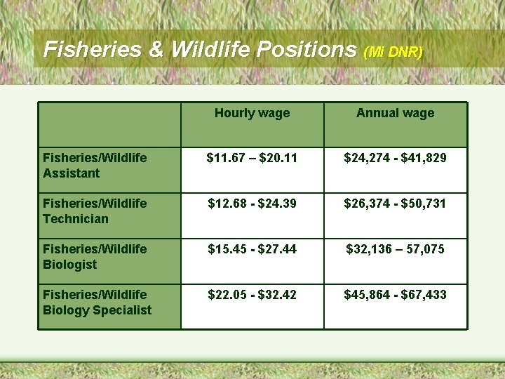 Fisheries & Wildlife Positions (Mi DNR) Hourly wage Annual wage Fisheries/Wildlife Assistant $11. 67