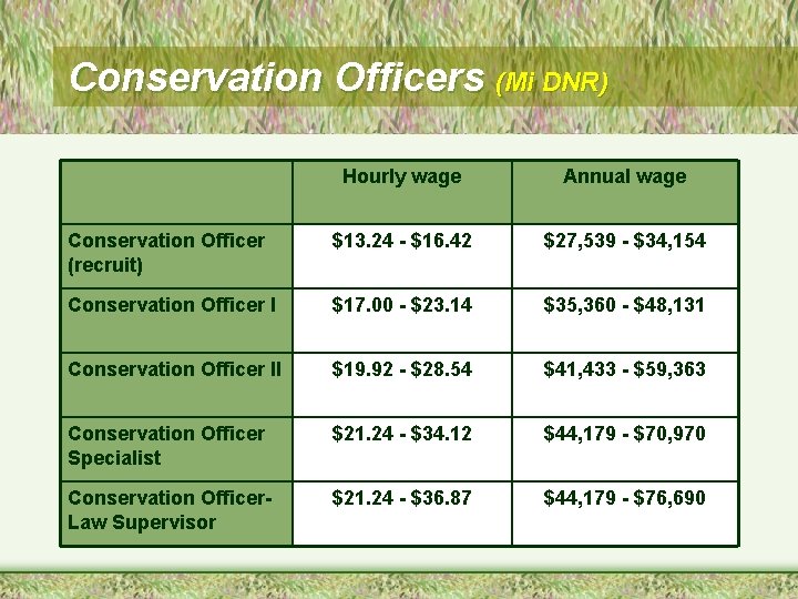 Conservation Officers (Mi DNR) Hourly wage Annual wage Conservation Officer (recruit) $13. 24 -