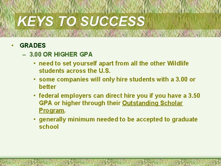 KEYS TO SUCCESS • GRADES – 3. 00 OR HIGHER GPA • need to