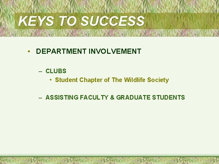 KEYS TO SUCCESS • DEPARTMENT INVOLVEMENT – CLUBS • Student Chapter of The Wildlife