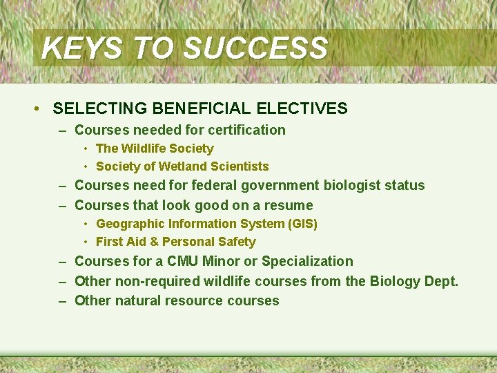 KEYS TO SUCCESS • SELECTING BENEFICIAL ELECTIVES – Courses needed for certification • The