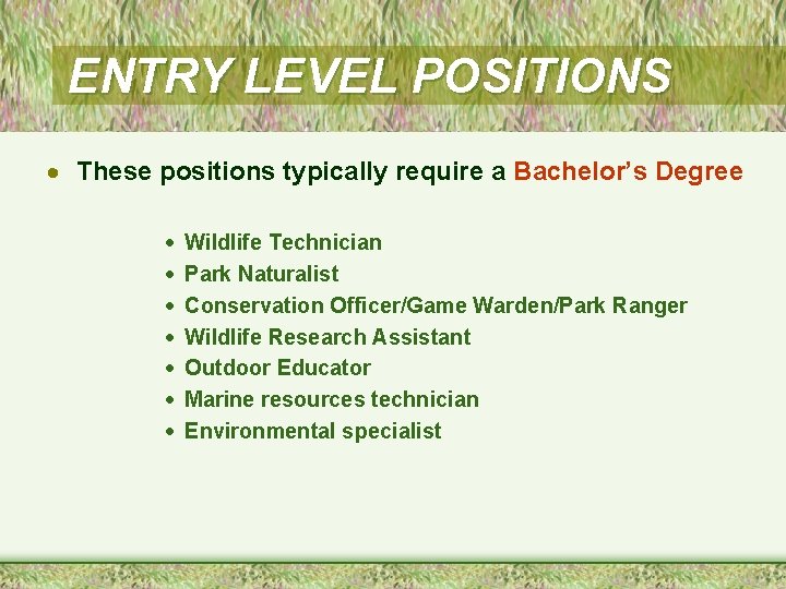 ENTRY LEVEL POSITIONS · These positions typically require a Bachelor’s Degree · · ·