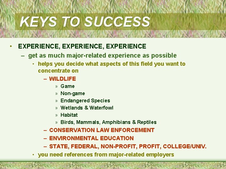 KEYS TO SUCCESS • EXPERIENCE, EXPERIENCE – get as much major-related experience as possible