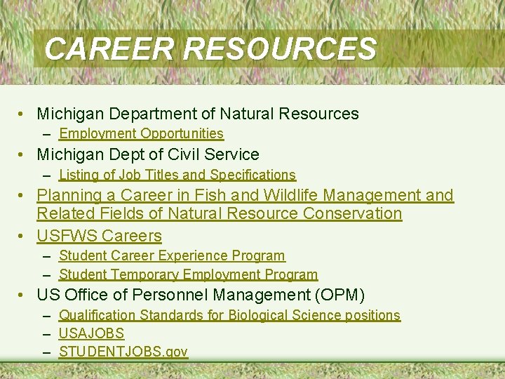 CAREER RESOURCES • Michigan Department of Natural Resources – Employment Opportunities • Michigan Dept