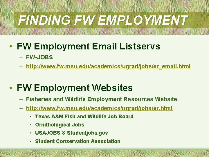 FINDING FW EMPLOYMENT • FW Employment Email Listservs – FW-JOBS – http: //www. fw.