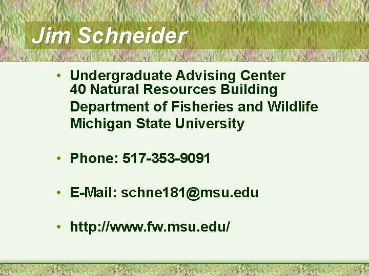 Jim Schneider • Undergraduate Advising Center 40 Natural Resources Building Department of Fisheries and