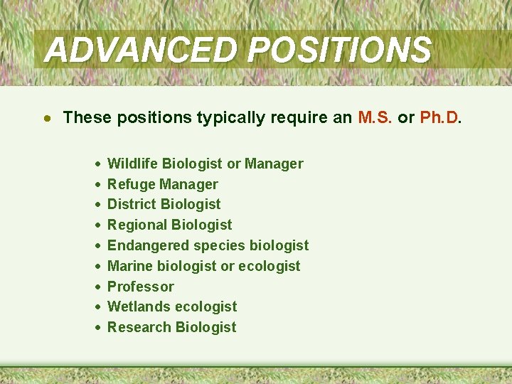 ADVANCED POSITIONS · These positions typically require an M. S. or Ph. D. ·