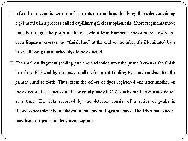 � After the reaction is done, the fragments are run through a long, thin