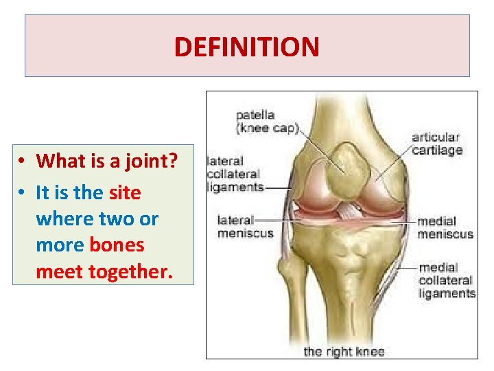 DEFINITION • What is a joint? • It is the site where two or