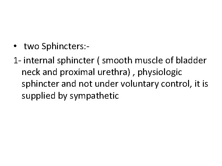  • two Sphincters: 1 - internal sphincter ( smooth muscle of bladder neck