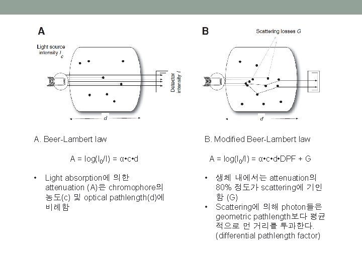 A. Beer-Lambert law B. Modified Beer-Lambert law A = log(I 0/I) = α •