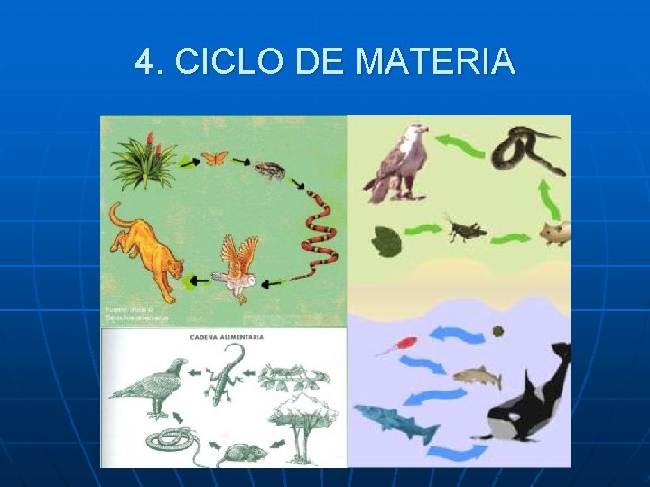 4. CICLO DE MATERIA 