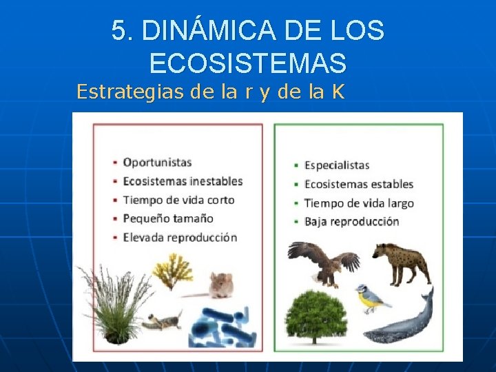 5. DINÁMICA DE LOS ECOSISTEMAS Estrategias de la r y de la K 