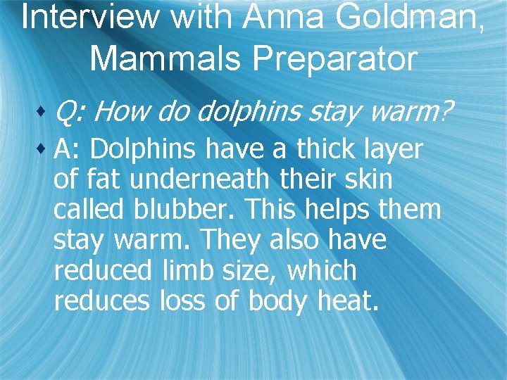 Interview with Anna Goldman, Mammals Preparator s Q: How do dolphins stay warm? s