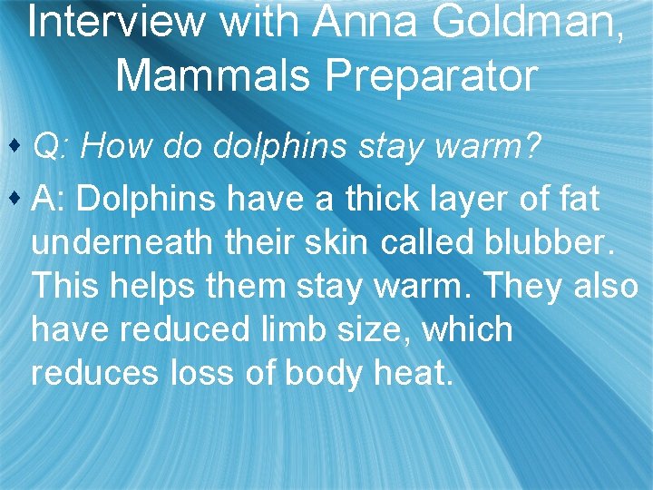 Interview with Anna Goldman, Mammals Preparator s Q: How do dolphins stay warm? s