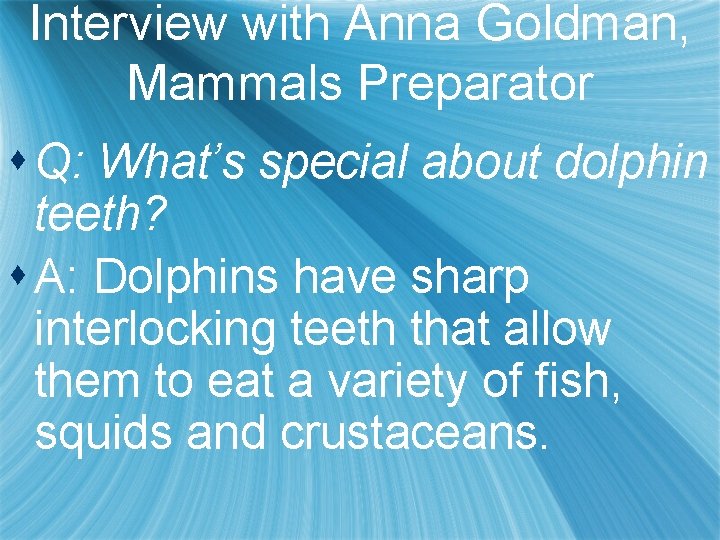 Interview with Anna Goldman, Mammals Preparator s Q: What’s special about dolphin teeth? s