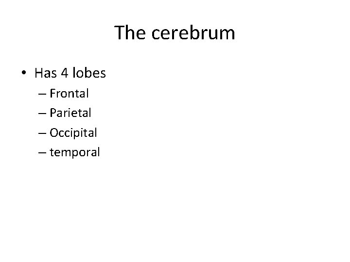 The cerebrum • Has 4 lobes – Frontal – Parietal – Occipital – temporal