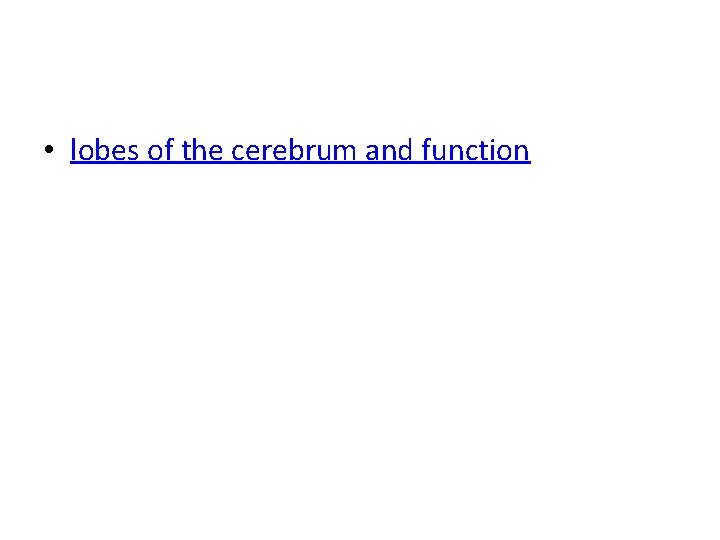  • lobes of the cerebrum and function 