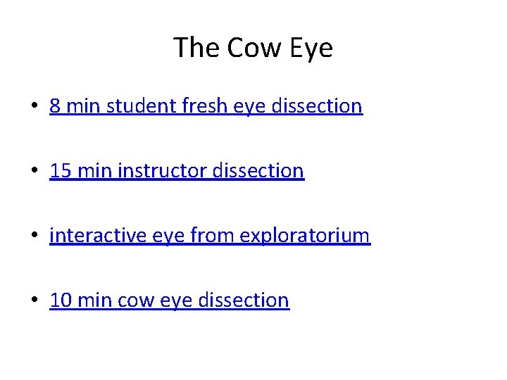 The Cow Eye • 8 min student fresh eye dissection • 15 min instructor
