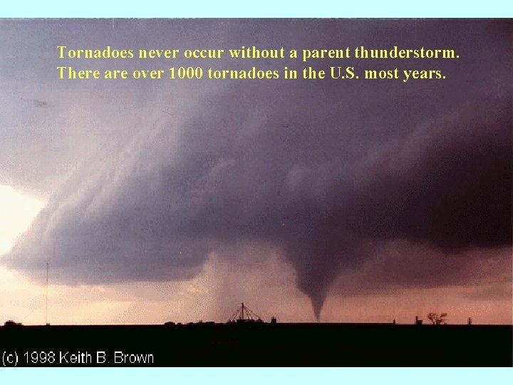 Tornadoes never occur without a parent thunderstorm. There are over 1000 tornadoes in the