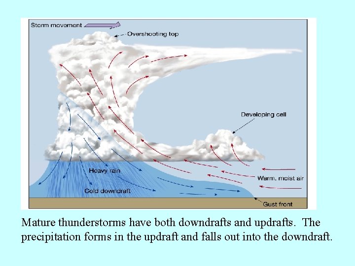 Mature thunderstorms have both downdrafts and updrafts. The precipitation forms in the updraft and