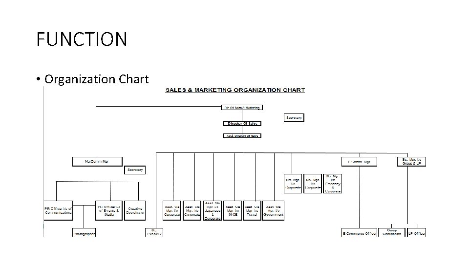 FUNCTION • Organization Chart 