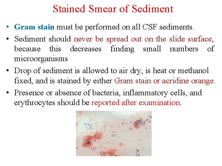 Stained Smear of Sediment • Gram stain must be performed on all CSF sediments.