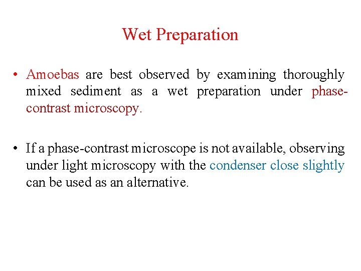 Wet Preparation • Amoebas are best observed by examining thoroughly mixed sediment as a