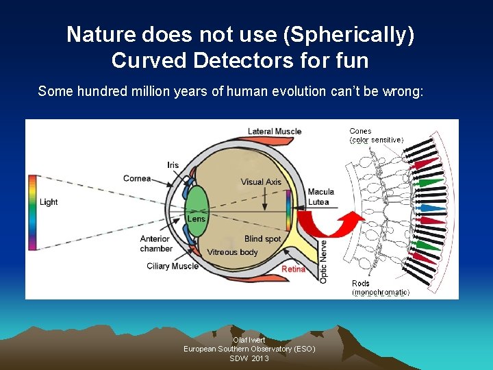 Nature does not use (Spherically) Curved Detectors for fun Some hundred million years of