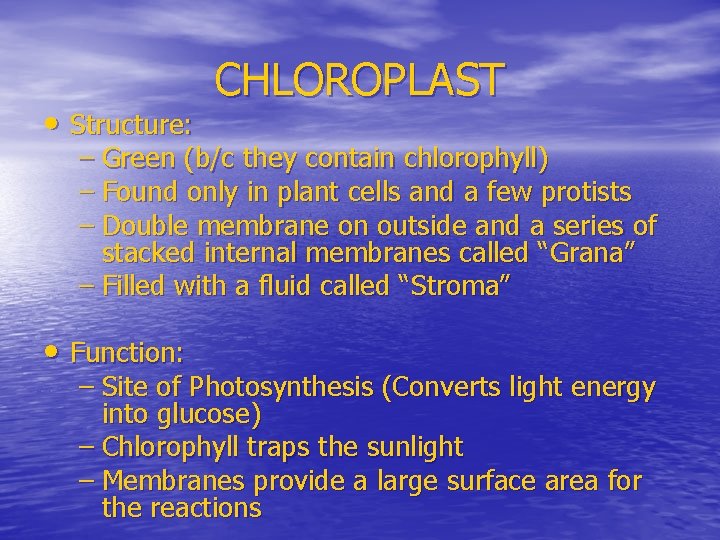  • Structure: CHLOROPLAST – Green (b/c they contain chlorophyll) – Found only in