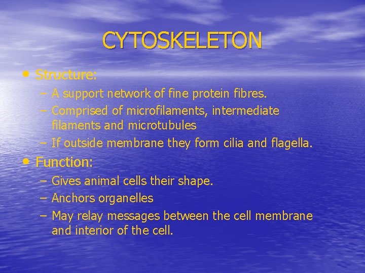 CYTOSKELETON • Structure: – A support network of fine protein fibres. – Comprised of