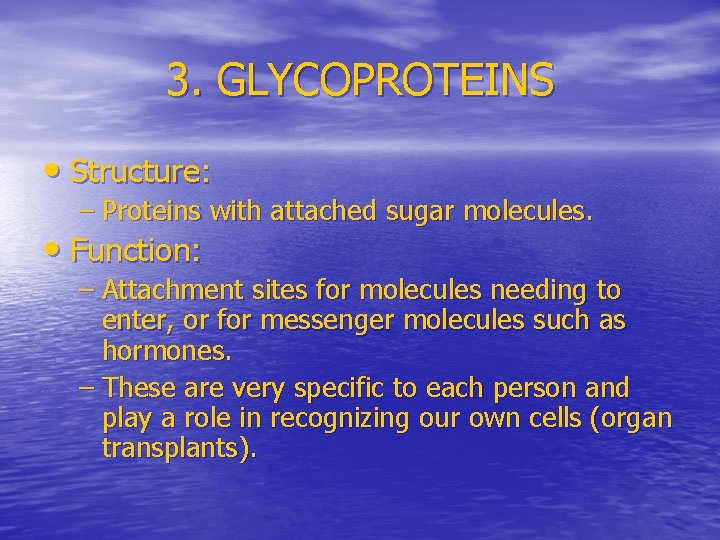 3. GLYCOPROTEINS • Structure: – Proteins with attached sugar molecules. • Function: – Attachment