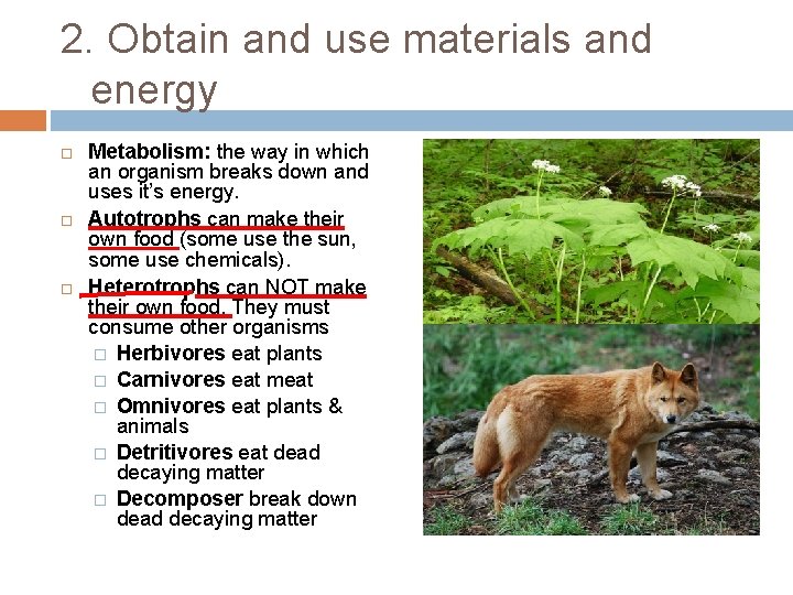 2. Obtain and use materials and energy Metabolism: the way in which an organism