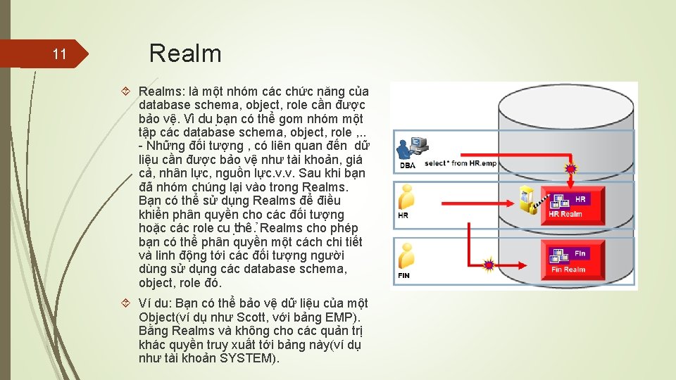 11 Realms: là một nhóm các chức năng của database schema, object, role cần