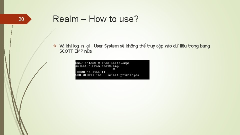 20 Realm – How to use? Và khi log in lại , User System