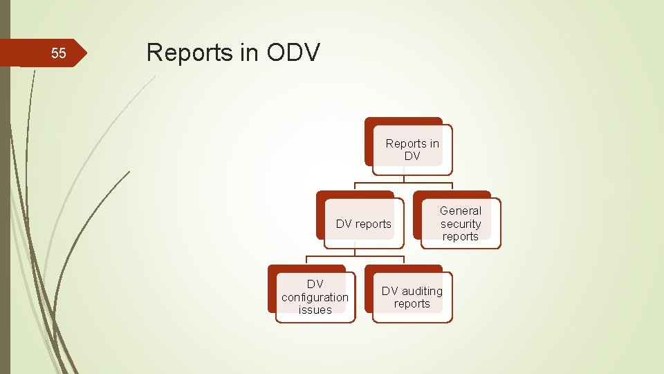 55 Reports in ODV Reports in DV DV reports DV configuration issues General security