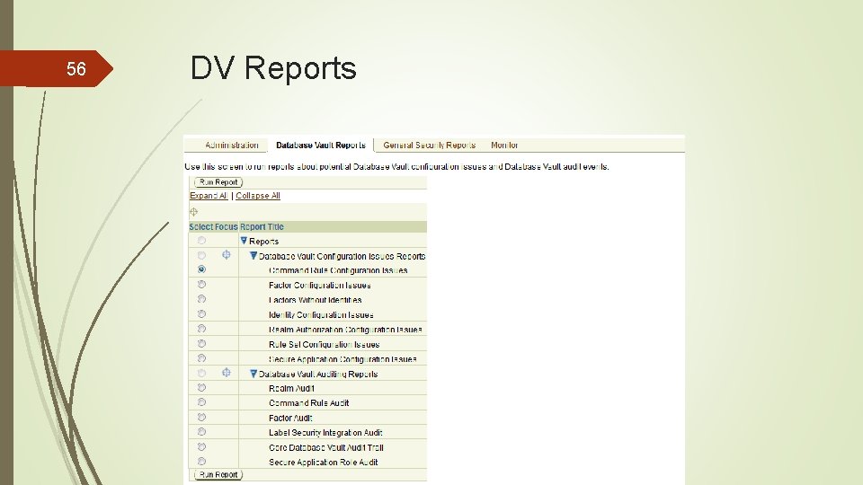 56 DV Reports 