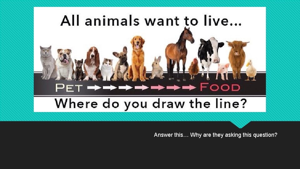 Answer this… Why are they asking this question? 