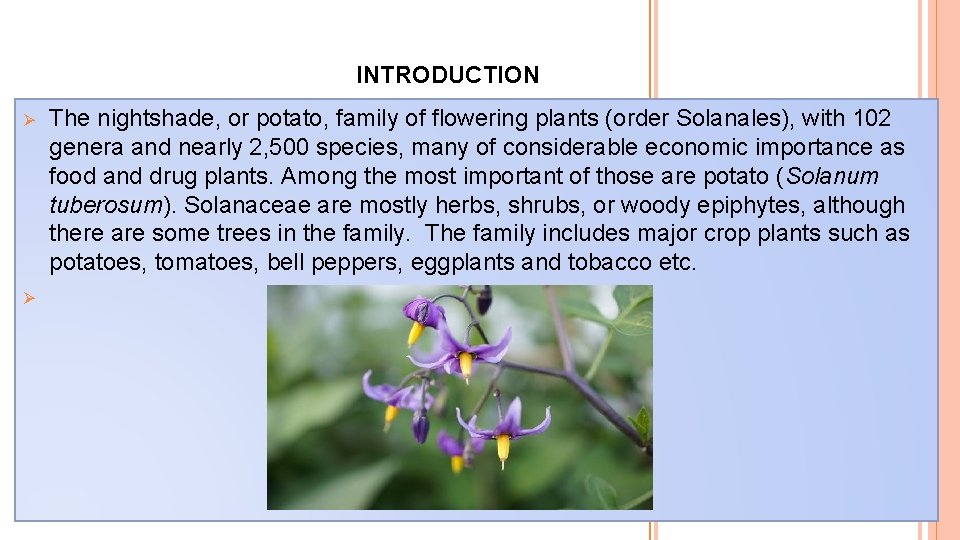 INTRODUCTION Ø Ø The nightshade, or potato, family of flowering plants (order Solanales), with