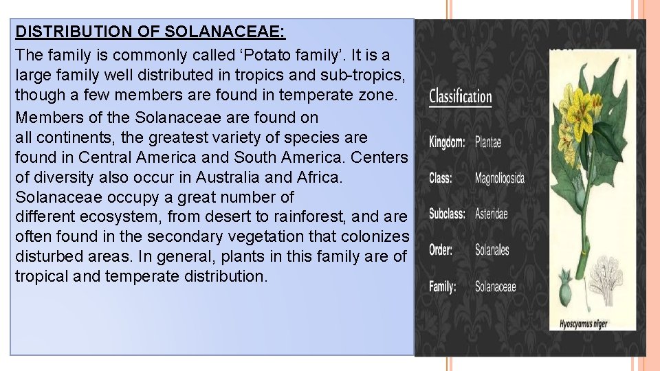 DISTRIBUTION OF SOLANACEAE: The family is commonly called ‘Potato family’. It is a large