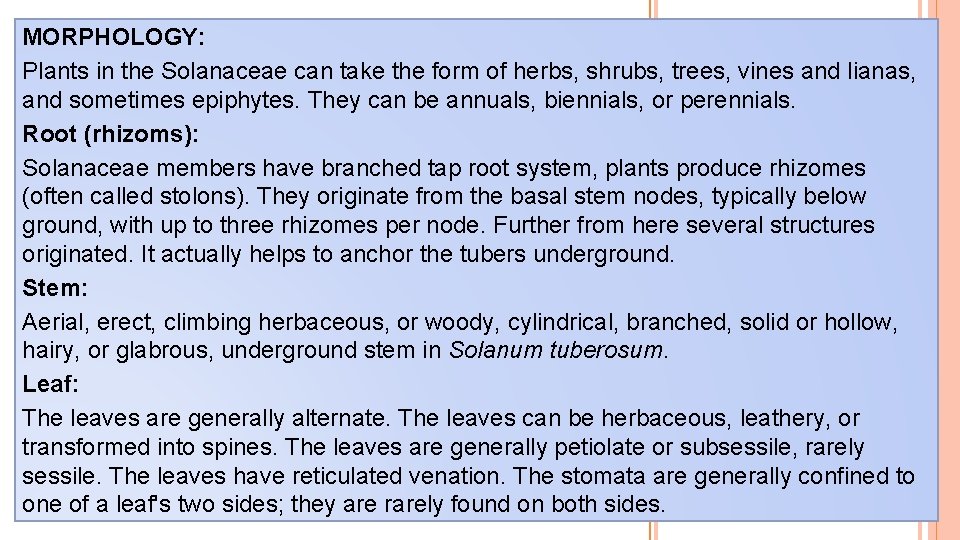 MORPHOLOGY: Plants in the Solanaceae can take the form of herbs, shrubs, trees, vines