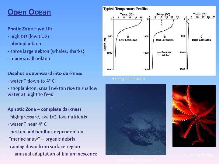 Open Ocean Photic Zone – well lit - high DO (low CO 2) -