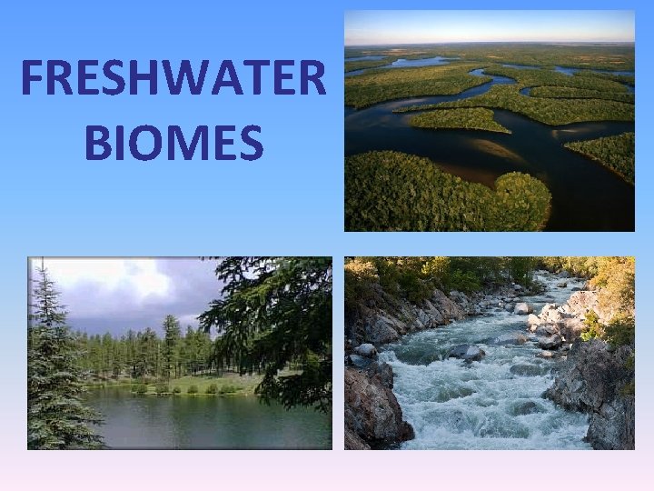 FRESHWATER BIOMES 