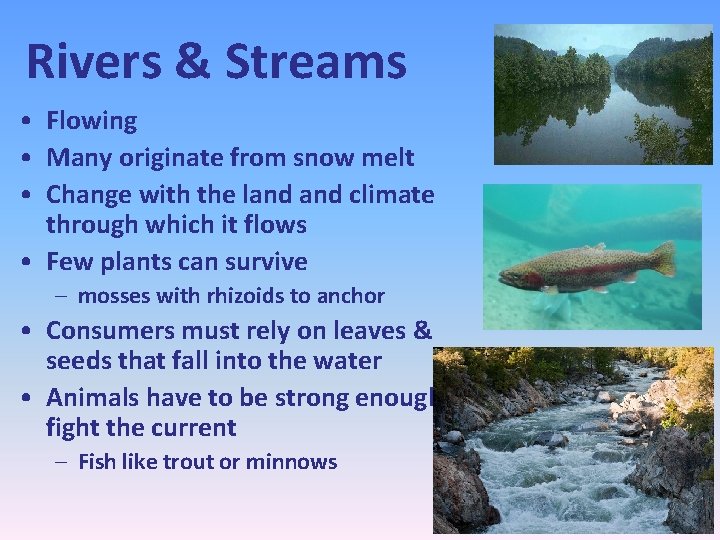 Rivers & Streams • Flowing • Many originate from snow melt • Change with