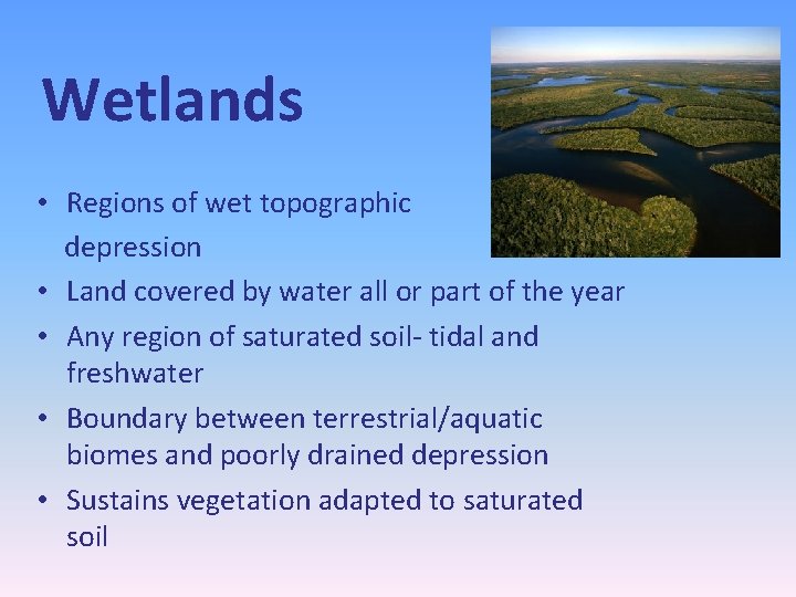 Wetlands • Regions of wet topographic depression • Land covered by water all or