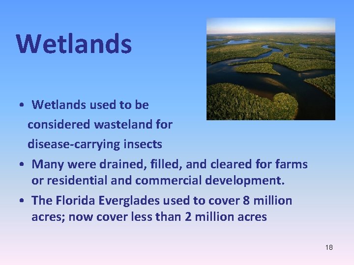 Wetlands • Wetlands used to be considered wasteland for disease-carrying insects • Many were