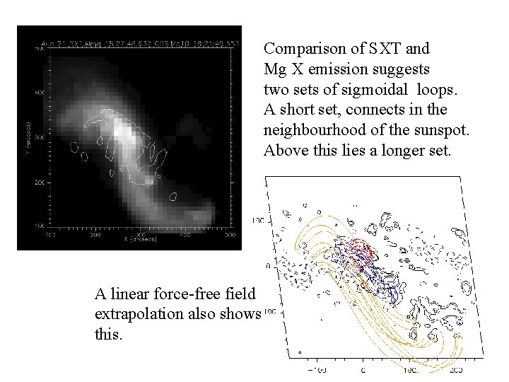 Comparison of SXT and Mg X emission suggests two sets of sigmoidal loops. A