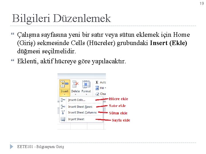 19 Bilgileri Düzenlemek Çalışma sayfasına yeni bir satır veya sütun eklemek için Home (Giriş)
