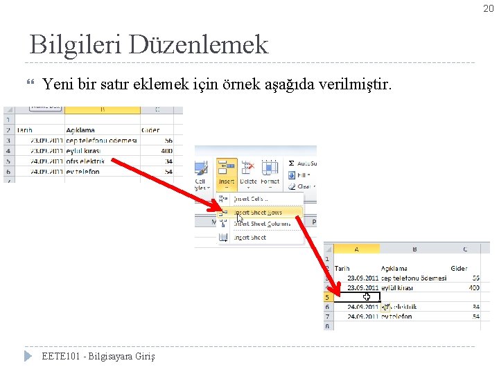 20 Bilgileri Düzenlemek Yeni bir satır eklemek için örnek aşağıda verilmiştir. EETE 101 -